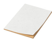 Blok se semnky Semeno Stick, prodn