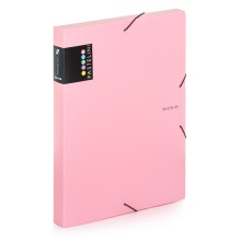 Box na spisy A4 Karton PP Pastelini, s gumikou, rov