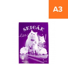 Skic�k Slunap A3, 190g/m2 10 list�