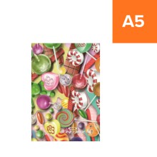 Z�znamn� kniha CONCORDE, A5, linka, 150 list�